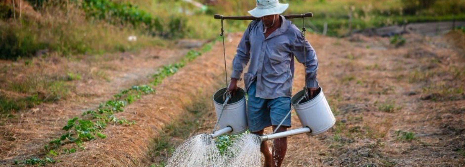 Mesin Pertanian Moderen